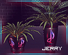 ! Red Club Plant v1