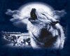 [DC]Full Moon Wolf Shirt