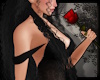 +A Red Rose