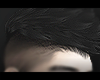 † Brian Hair †