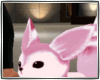 PinkFoxPet