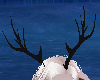 [V] Comet deer antlers 1