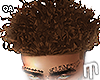 Curly Hair V2 - Brown II
