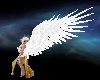 Divine Angel Wings