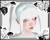 Yun.Snow Rabbit 29
