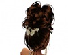 Princess Hair Chocolate