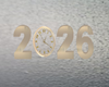 2026 New Year Seat Pose