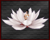 *A-ZY Zen Lotus Flower