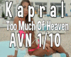 Kapral -TooMuchOf Heaven