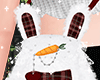 ♡ Backpack Bunny