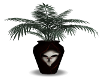 red dead plant