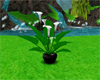 (IKY2) ELEGANT LILIES F/