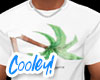 not another palm shirt