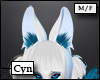 [Cyn] Snowball Ears v2
