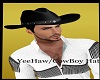 AL/YeeHaw CowBoy Hat