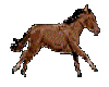 Animated Horse 48