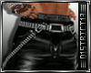 D13l Bad Punisher