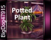 [BD]Pottedplant