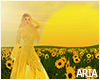 A. Sunflowers Field