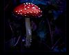 Mystical Mushroom