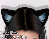 [E]*Cat Ears 2*