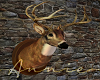 Whitetail Deer Mount