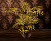 Brown and Gold Plant