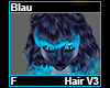 Blau Hair F V3