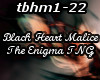 BHM - The Enigma TNG