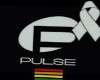 Gay Pride for Pulse