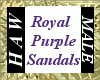 Royal Purple Sandals - M