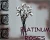 TTT Platinum Roses