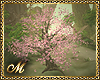 :mo: SPRING TREE ANIM