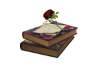 Romantic Book