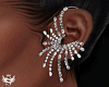 ♥ Earrings