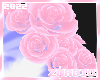 Winkle | Roses Hps V2