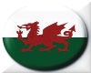 wales flag button