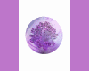 Boulkiss Purple (Animed)