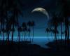 Tropical moon light
