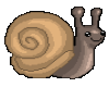 Cute Lil Snail