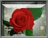 [PS] Rose Sticker