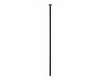 black and gold pole