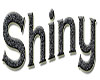 [Gy] Shiny 2
