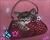 J♥ Bag w/ Kitten