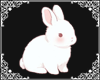 ♡ bunny cutout 2 ♡