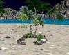Beach Coconut lil island