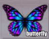 sw colorful butterflies