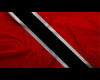 Trini Flag