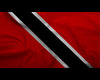 Trini Flag