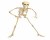 Thriller SKELETON